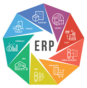 ERP System for institutions | Laneways.Agency
