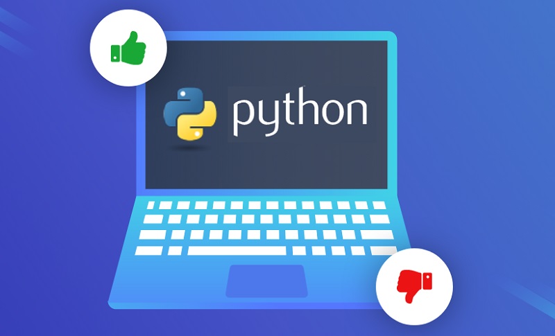 The Pros and Cons of Python | Laneways.Agency