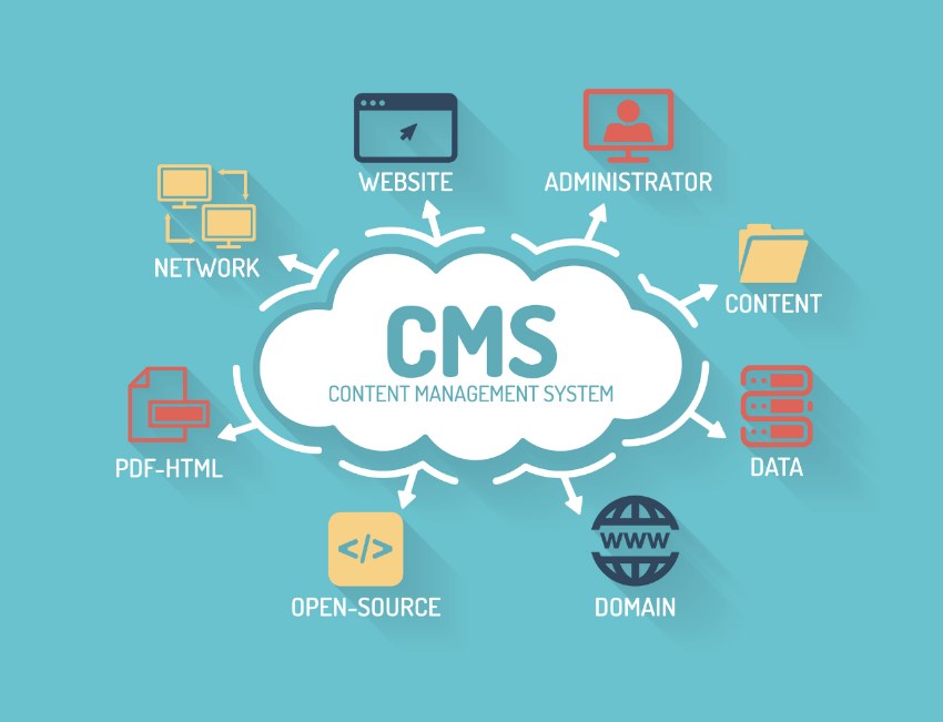 Content Management System Types of Custom Software | Laneways.Agency